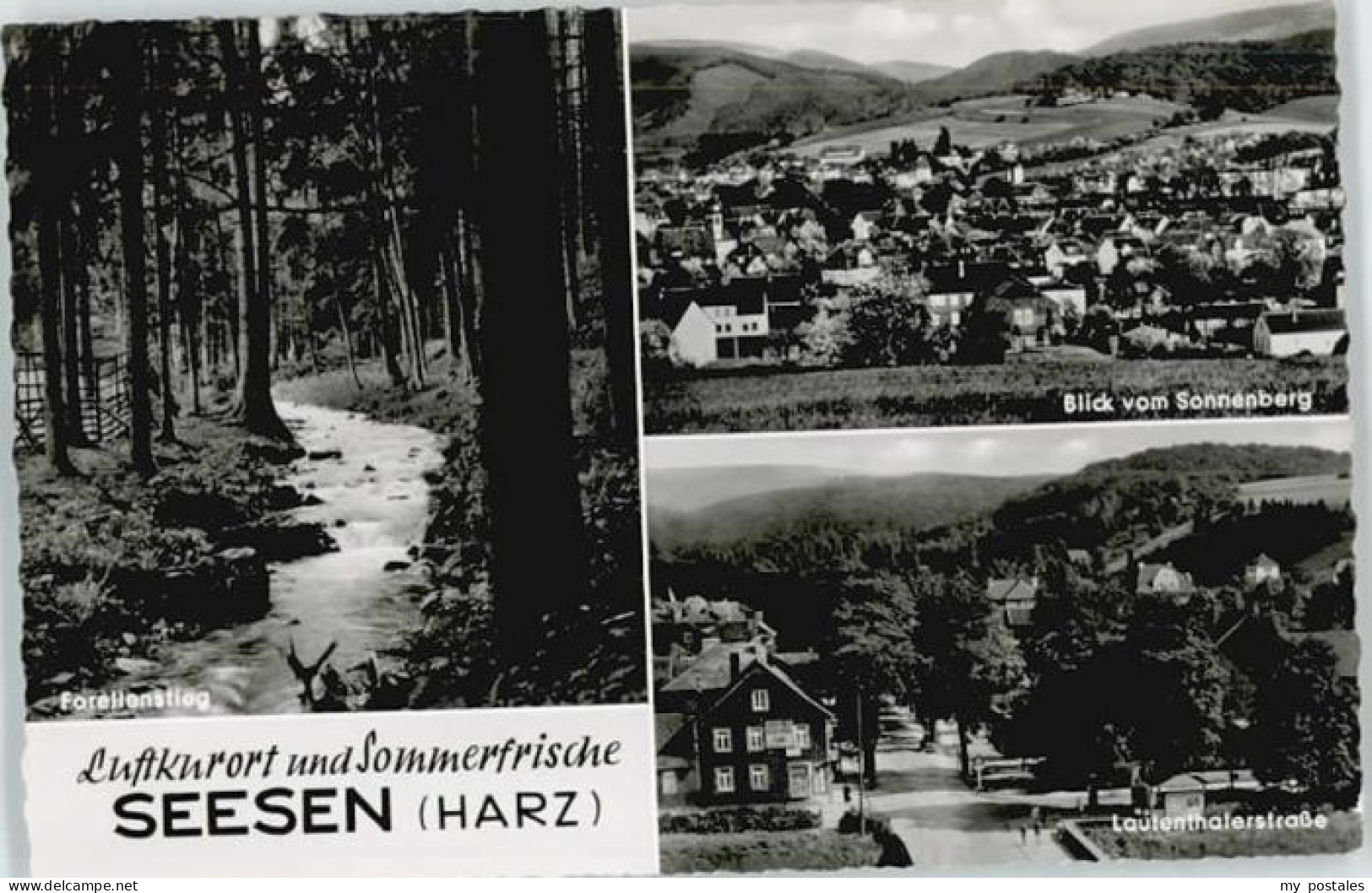 Seesen Harz Seesen Forellenstieg Sonnenberg