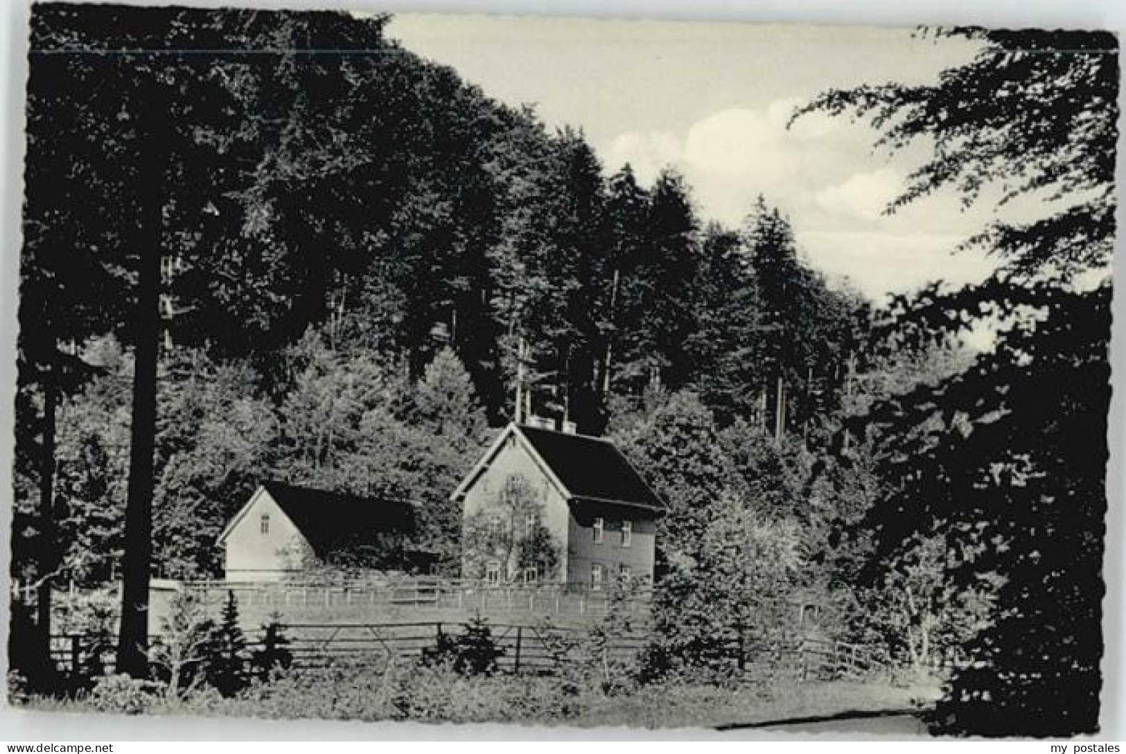 Seesen Harz Seesen Forsthaus Neckelnberg