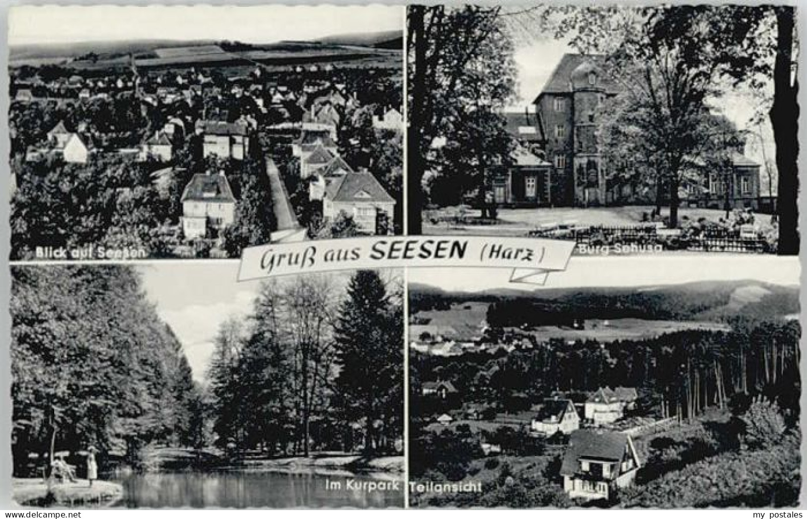 Seesen Harz Seesen Kurpark Burg Sehusa