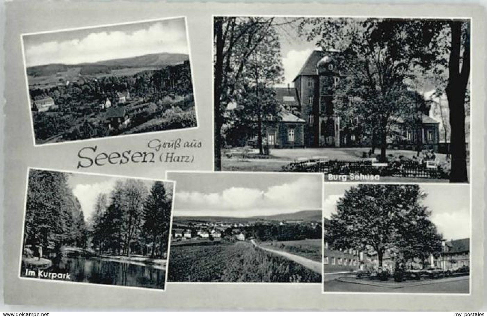 Seesen Harz Seesen Kurpark Burg Sehusa