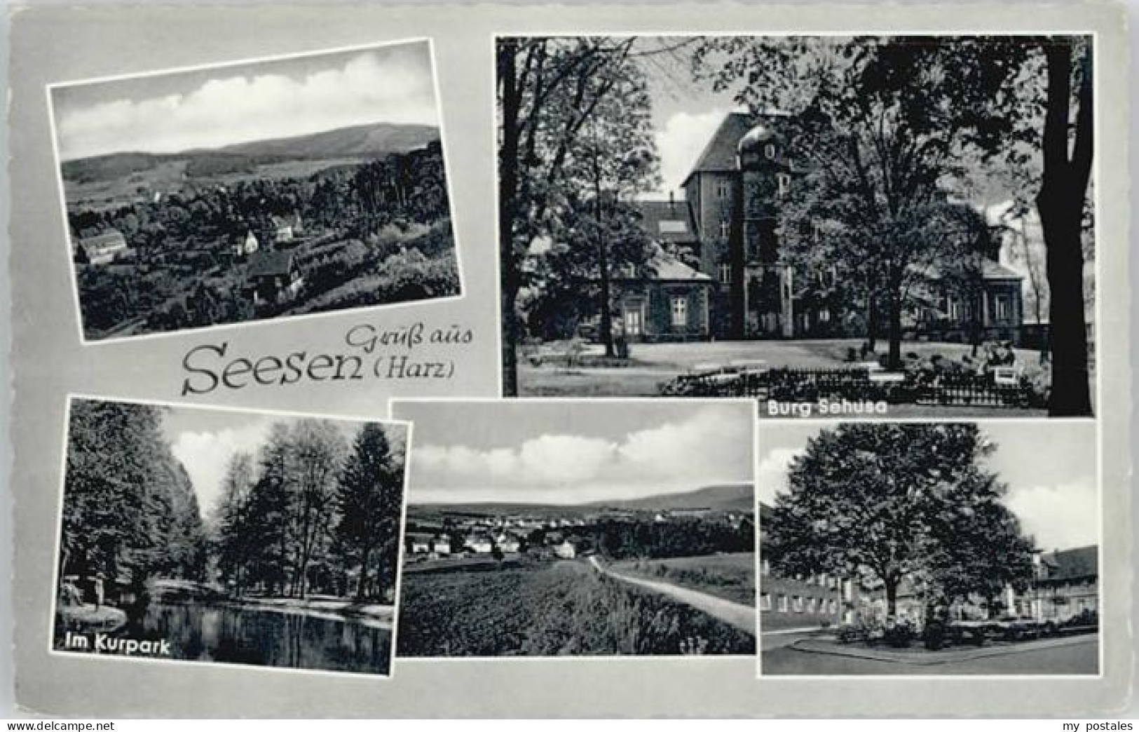 Seesen Harz Seesen Kurpark Burg Sehusa