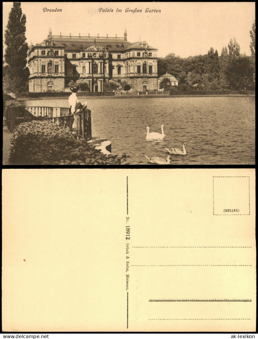Seevorstadt-Ost/Großer Garten-Dresden Palais im Großen Garten Schwäne Frau 1915