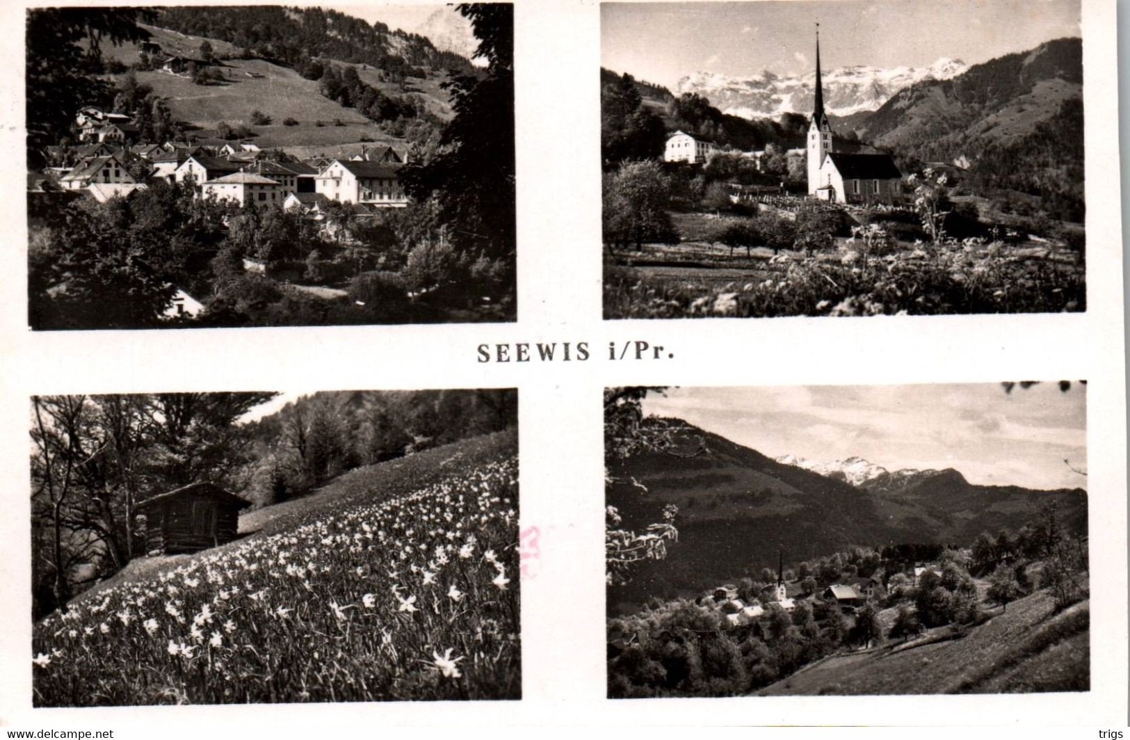 Seewis i. Pr.