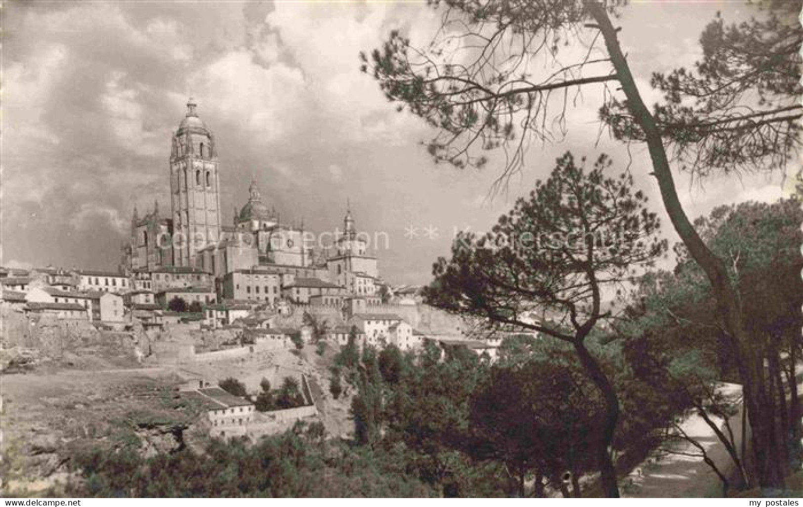 Segovia Castilla y Leon ES Cathedrale la Foret de pins