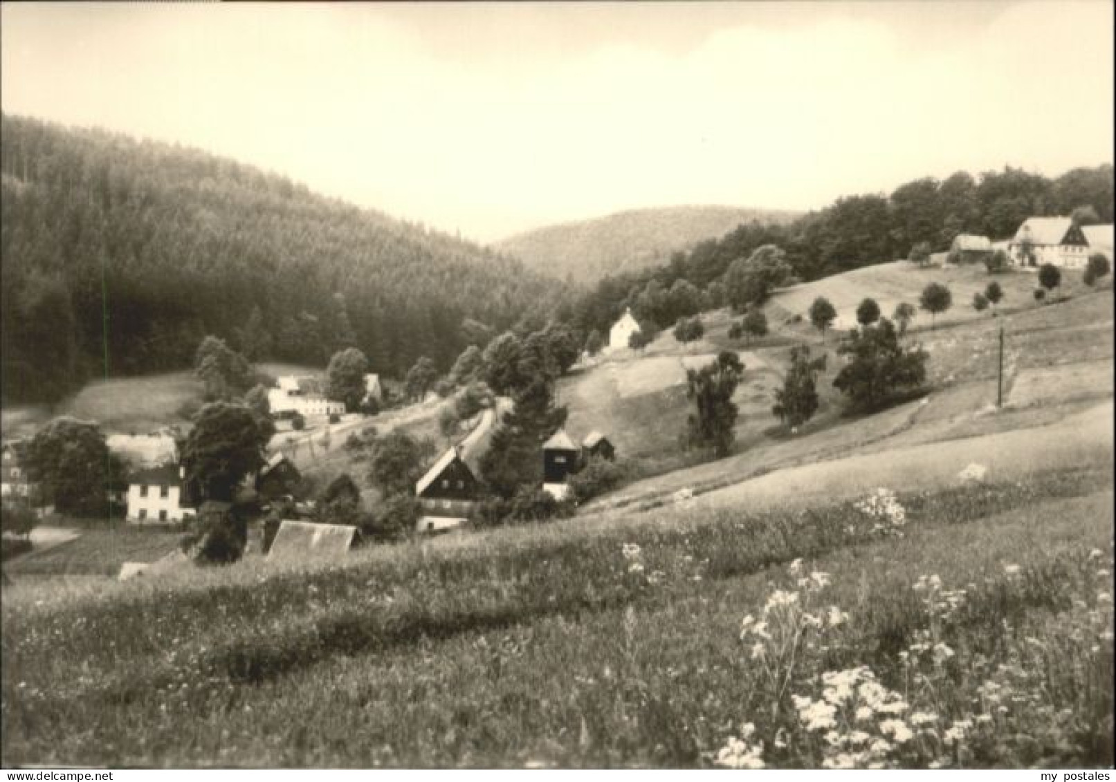 Seiffen Erzgebirge Seiffen Seiffener Grund