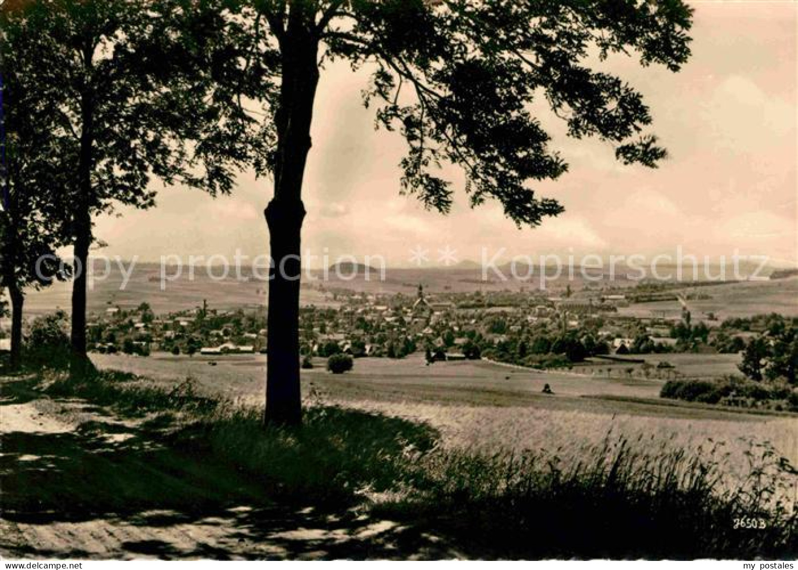 Seifhennersdorf Panorama