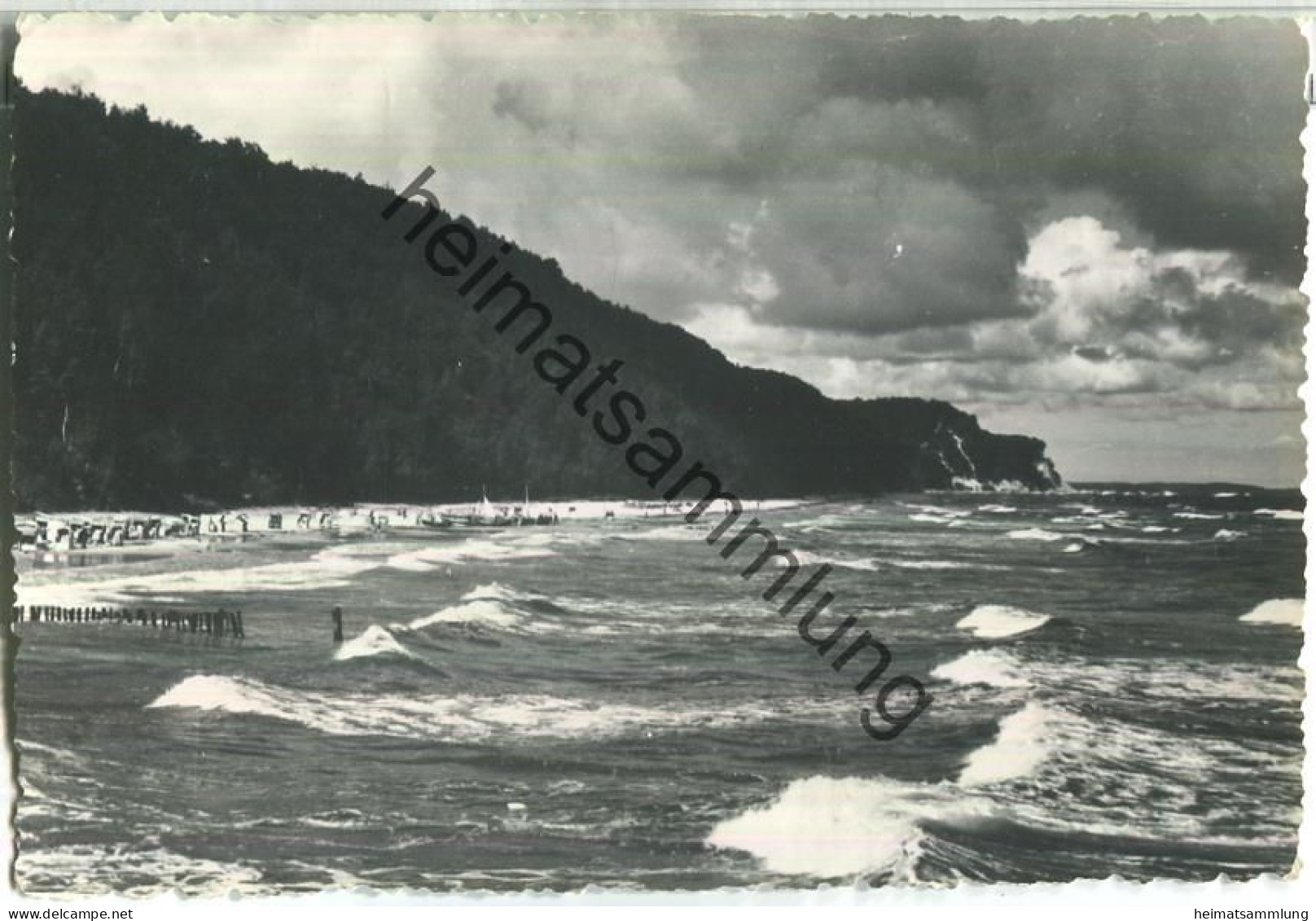 Sellin - Photo-Spezialhaus Knospe Sellin