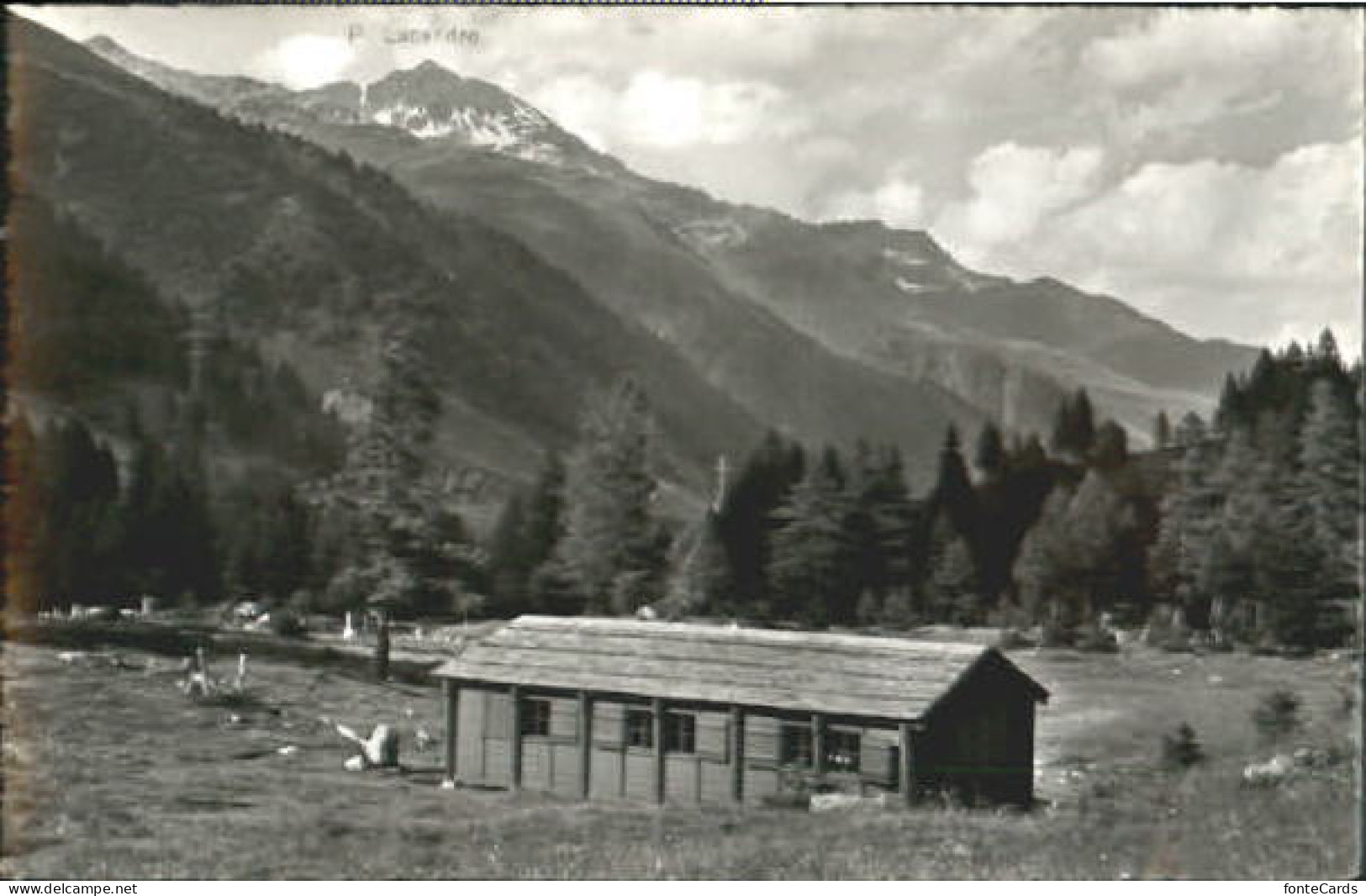 Selva Tujetsch Selva