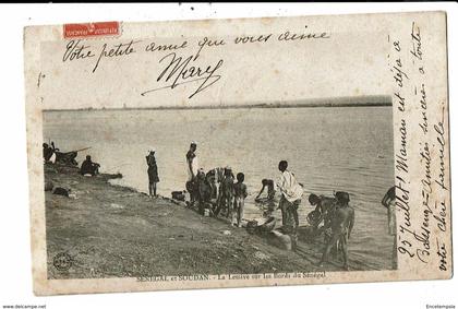 CPA Carte Postale-Senegal-Soudan- La lessive au bord du Sénégal -1908 VM12341