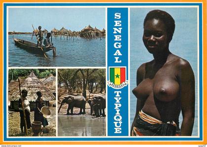 CPM Senegal Elephant