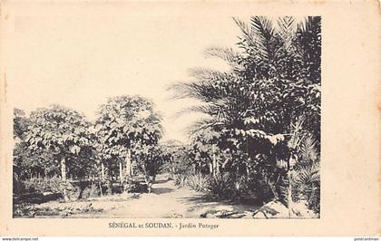 Sénégal - Jardin potager - Ed. inconnu Série Sénégal & Soudan