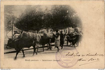 Senegal - Saint Louis