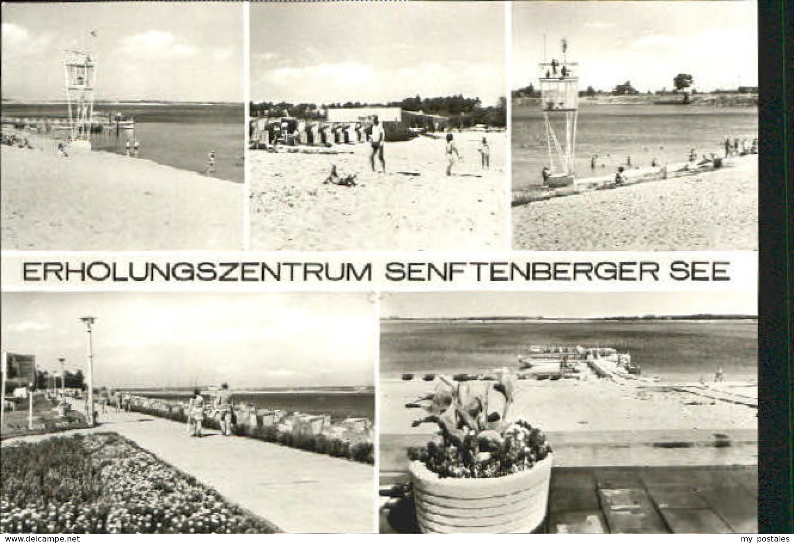 Senftenberg Niederlausitz Senftenberg See o