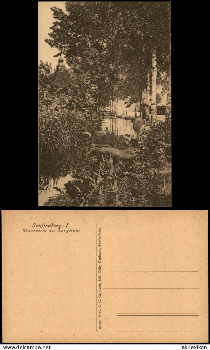 Senftenberg (Niederlausitz) Wasserpartie am Amtsgericht Birken 1922