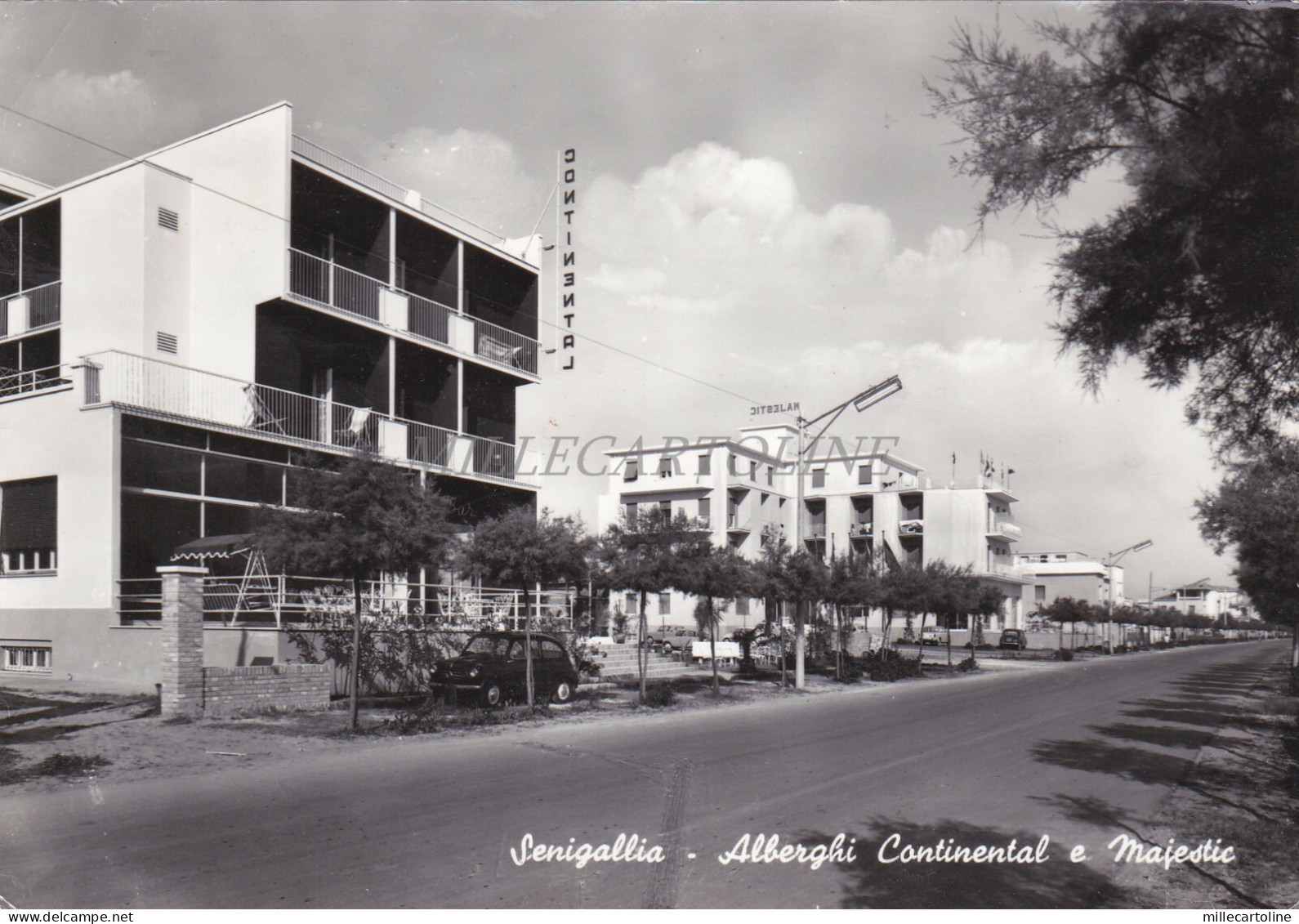 SENIGALLIA - Alberghi Continental e Majestic
