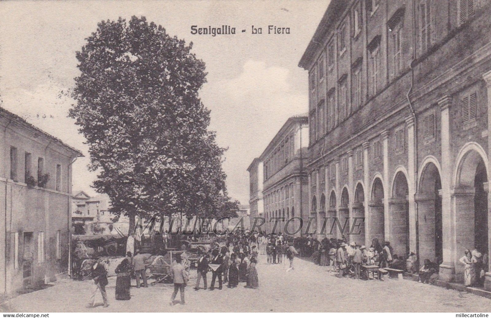 SENIGALLIA: La Fiera   1913