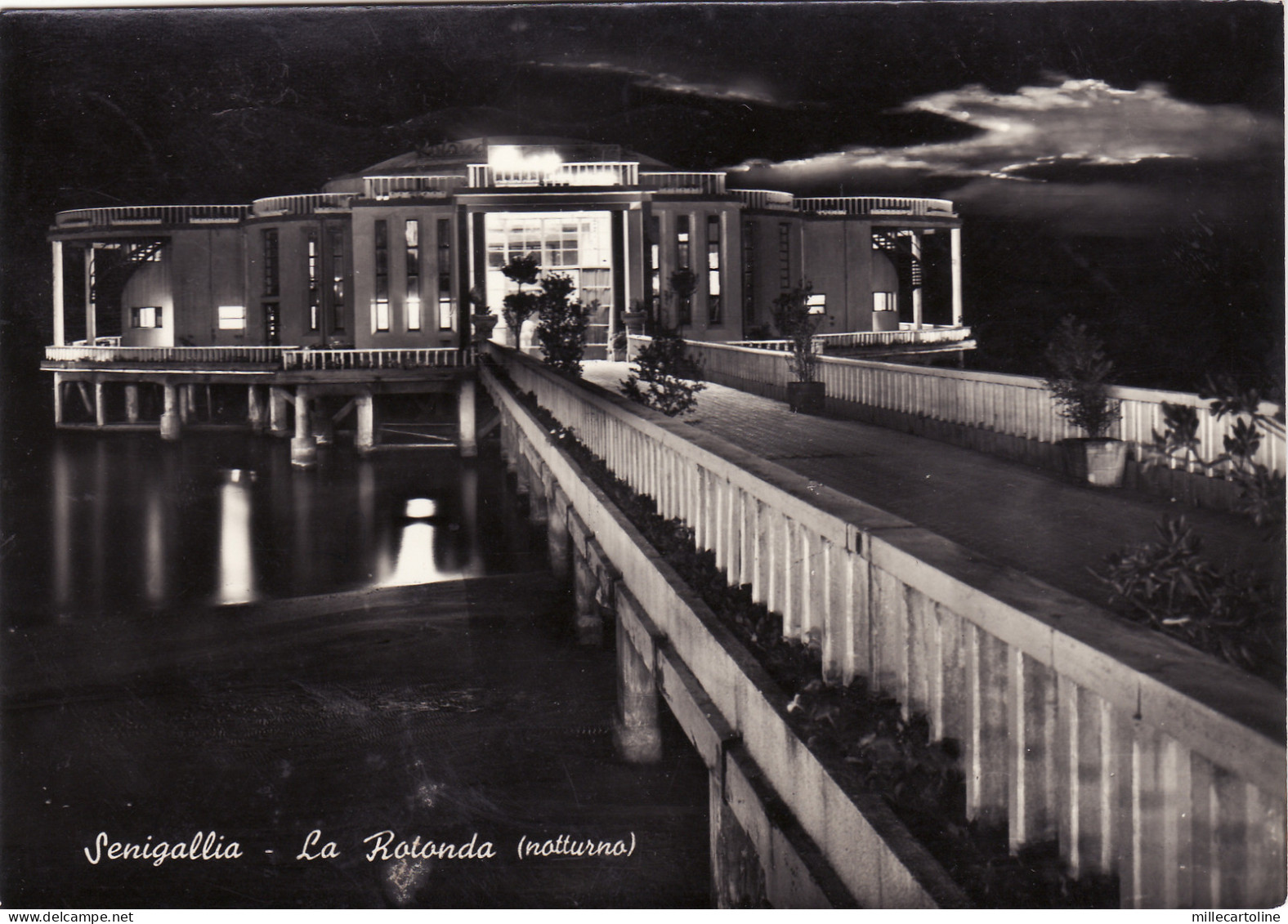 #SENIGALLIA: LAROTONDA- notturno