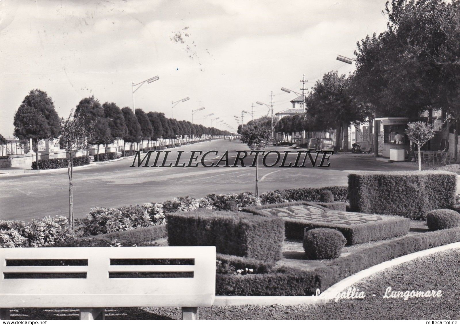 SENIGALLIA: Lungomare    1961