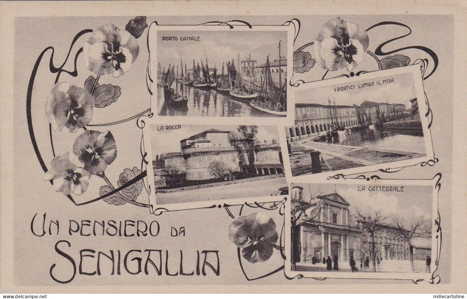 # SENIGALLIA: UN PENSIERO DA