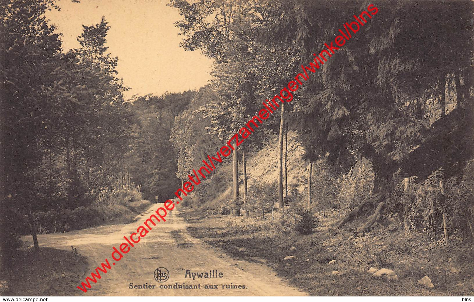 Sentier conduisant aux ruines - Aywaille