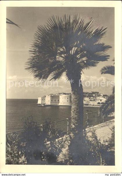 Yugoslavie Jugoslawien Burg mit Plame