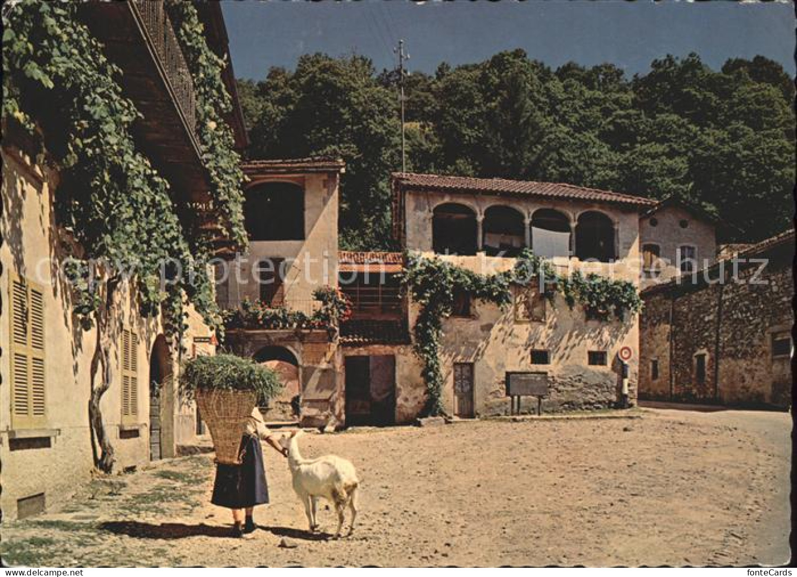 Sessa Motivo rustico Malcantone