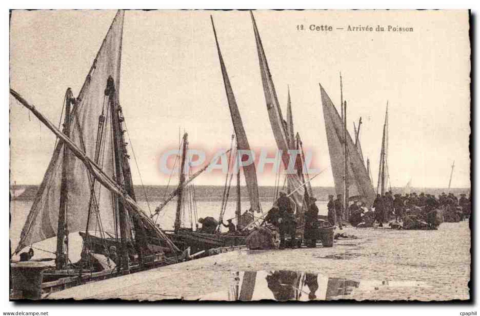 Sete - Cette - Arrivee du Poisson - fish - CPA