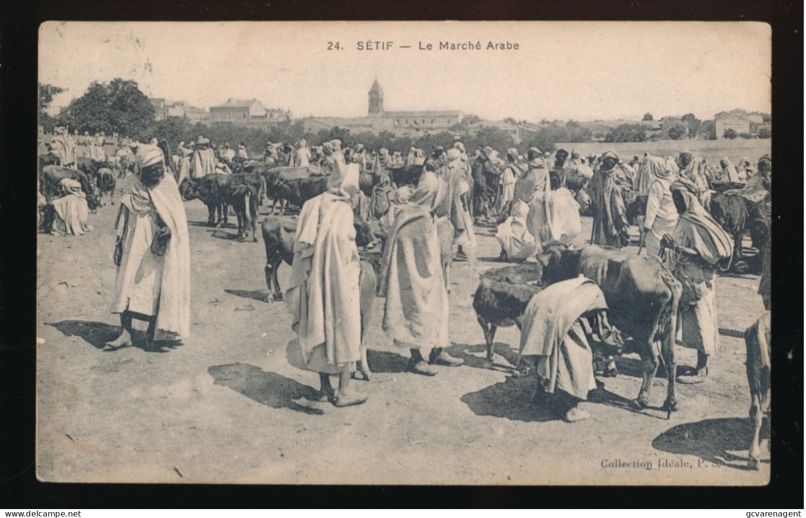 SETIF. LE MARCHE ARABE