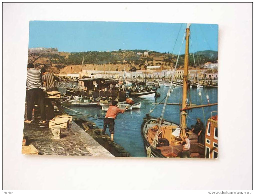 Setúbal - Portugal  -Descarga de Peixe      VF   D35445