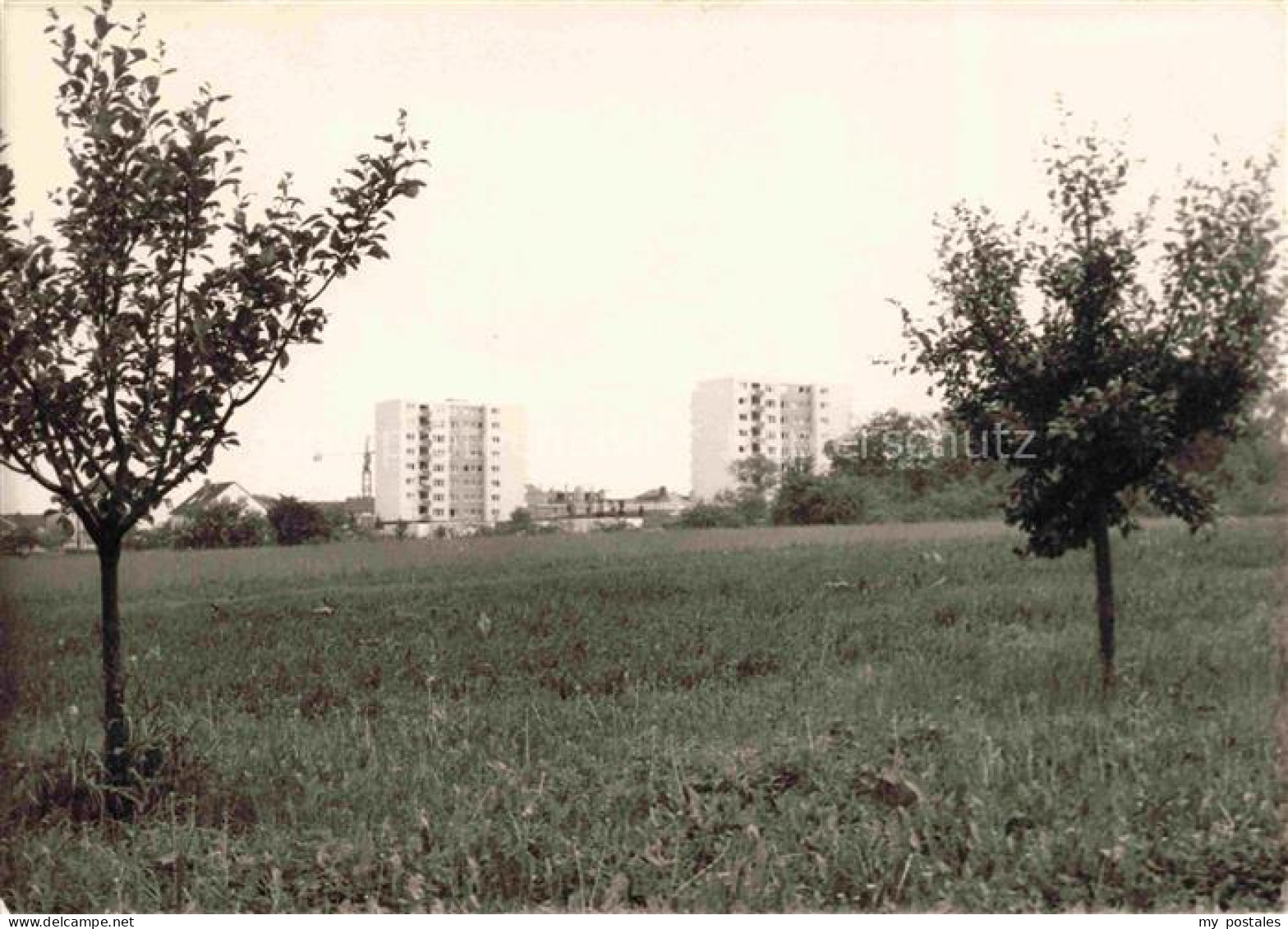 Seulberg Friedrichsdorf Hochtaunuskreis Hessen Hochhaeuser am Hardtwald