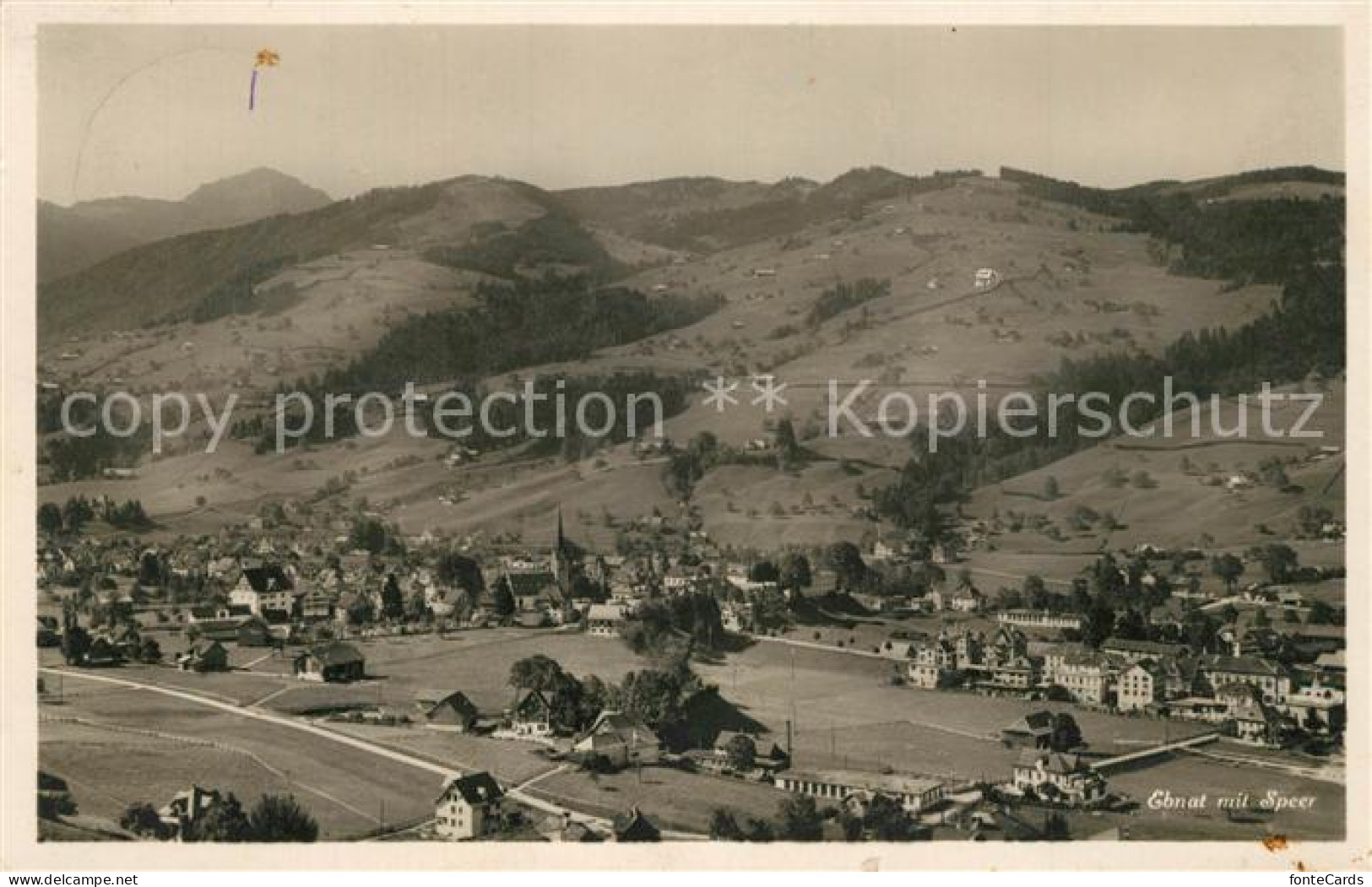 Sevelen Werdenberg Panorama