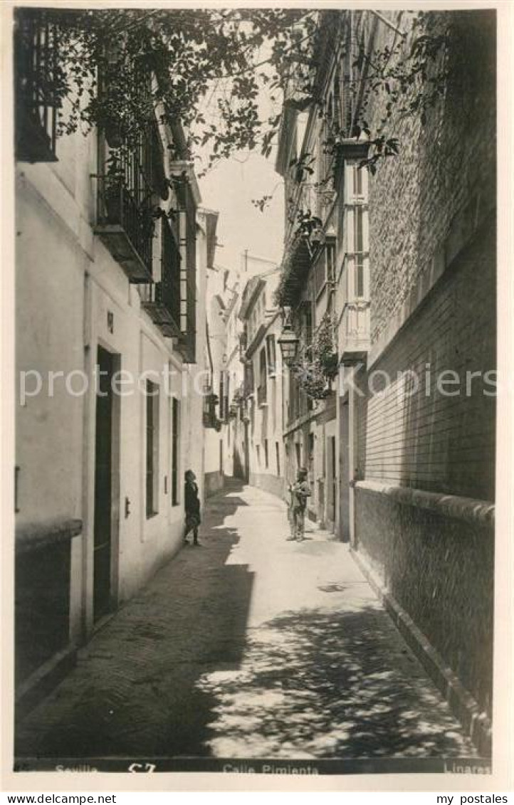 Sevilla Andalucia Calle Pimienta