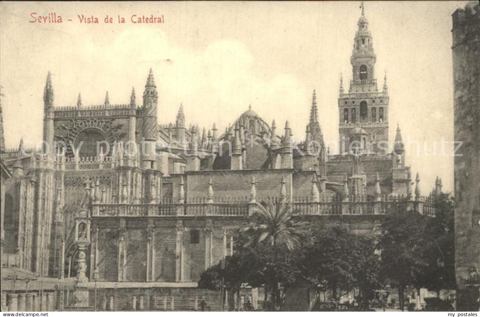 Sevilla Andalucia Catedral