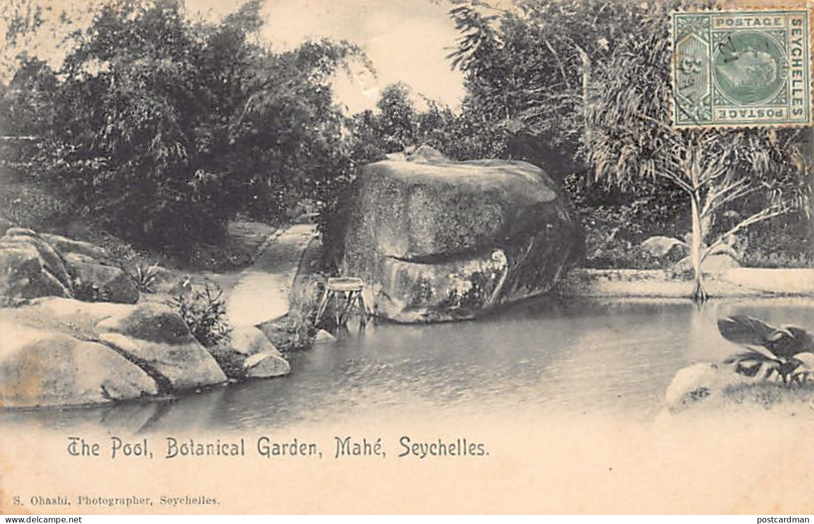 Seychelles - MAHÉ - The Pool, Botanical Garden - Publ. S. Ohashi