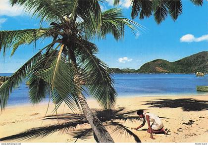 SEYCHELLES ANSE BOUDIN SEYCHELLES