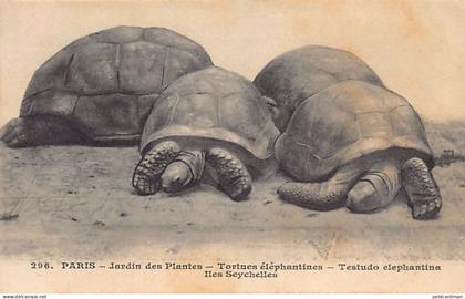 Seychelles - Giant tortoises from the Seychelles Islands at the Jardin des Plantes in Paris (France) - Publ. Photo-Mécan