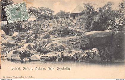Seychelles - MAHÉ - Botanic Station, Victoria - Publ. S. Ohashi