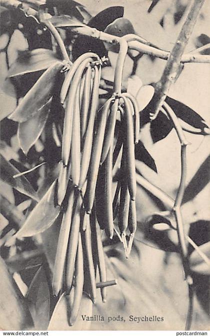 SEYCHELLES - Vanilla pods - Publ. S. S. Ohashi