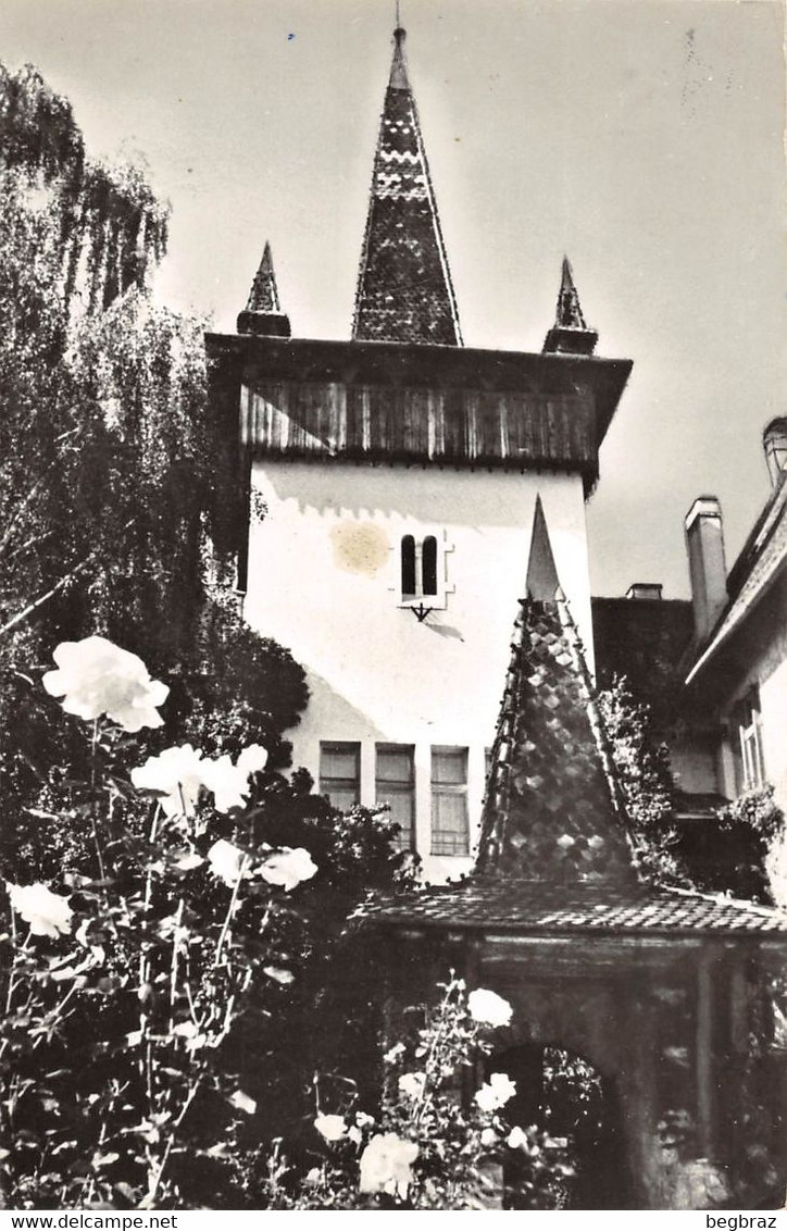 SFINTU GHEORGHE      MUZEUL