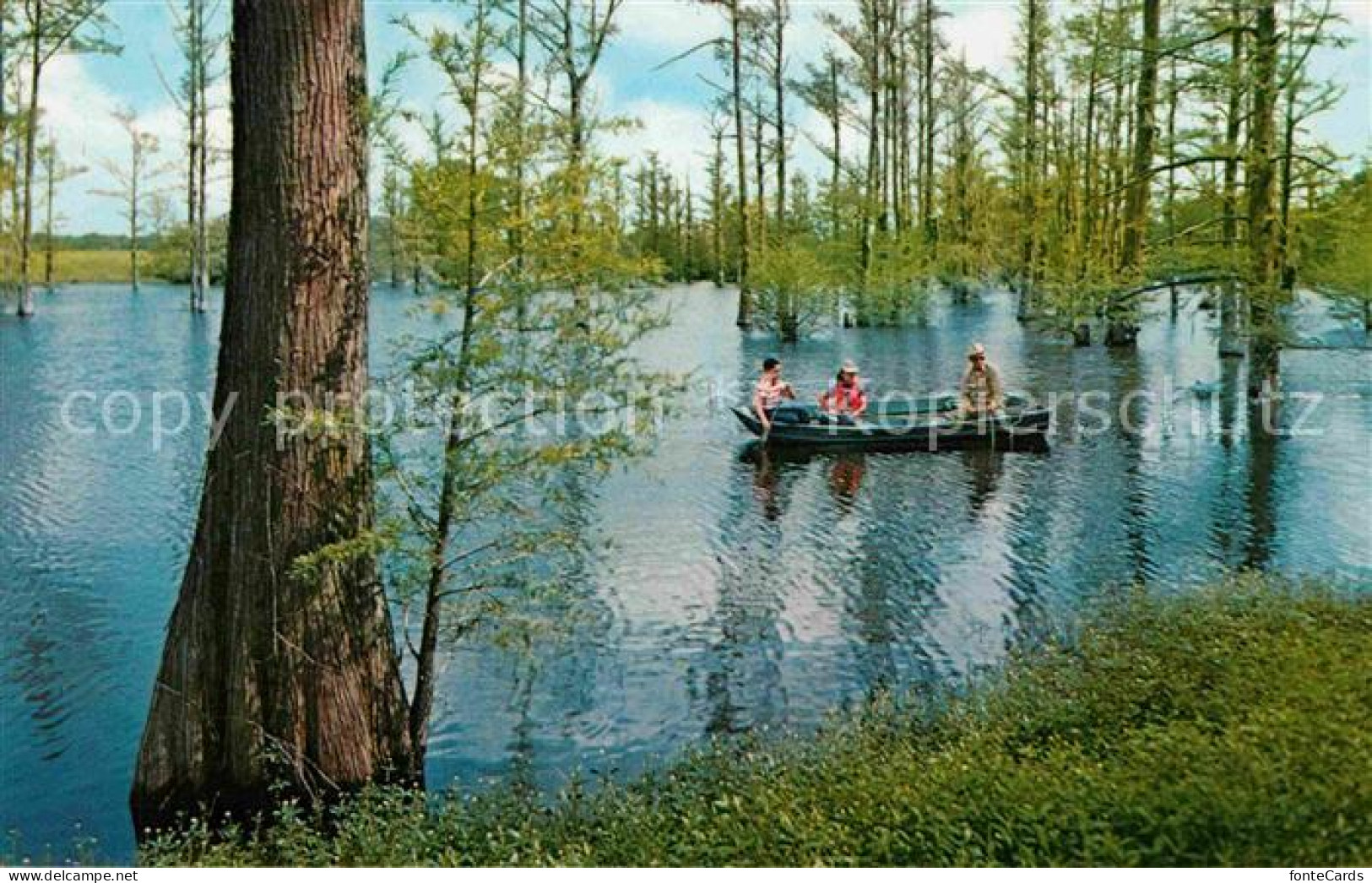 Shreveport Lake Bistineau