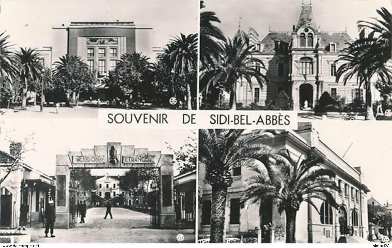 SIDI BEL ABBES - N° 46 - SOUVENIR DE SIDI BEL ABBES