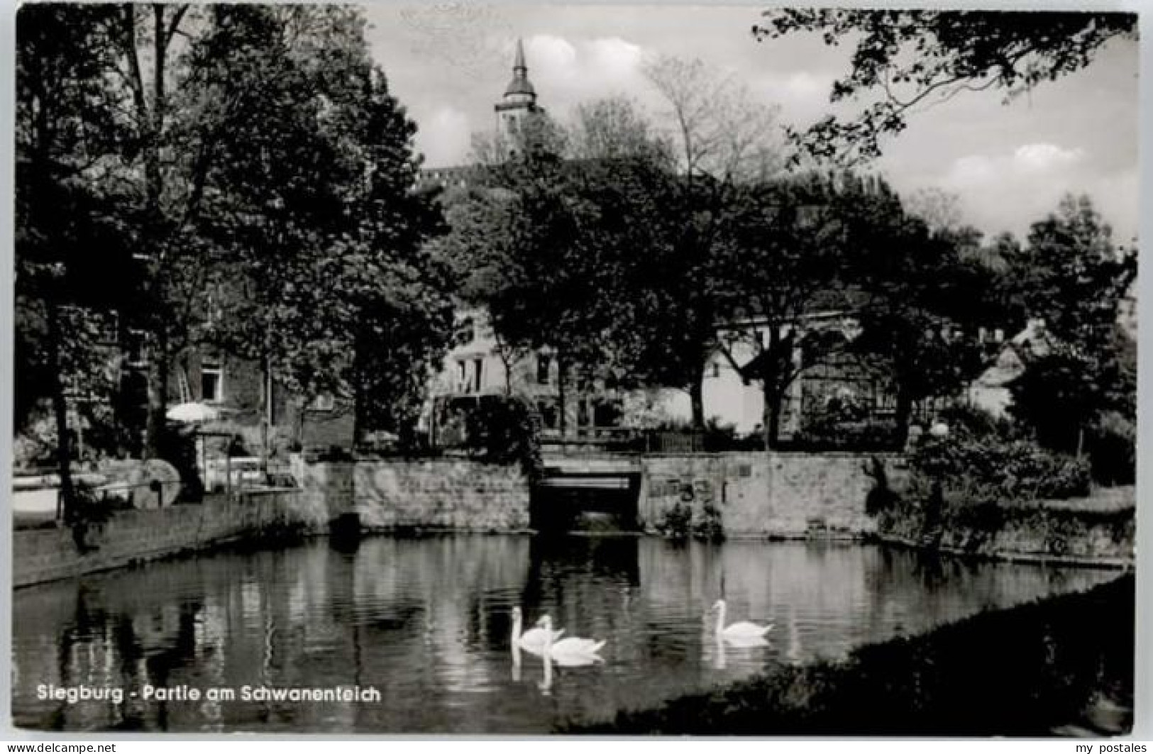 Siegburg Schwanenteich