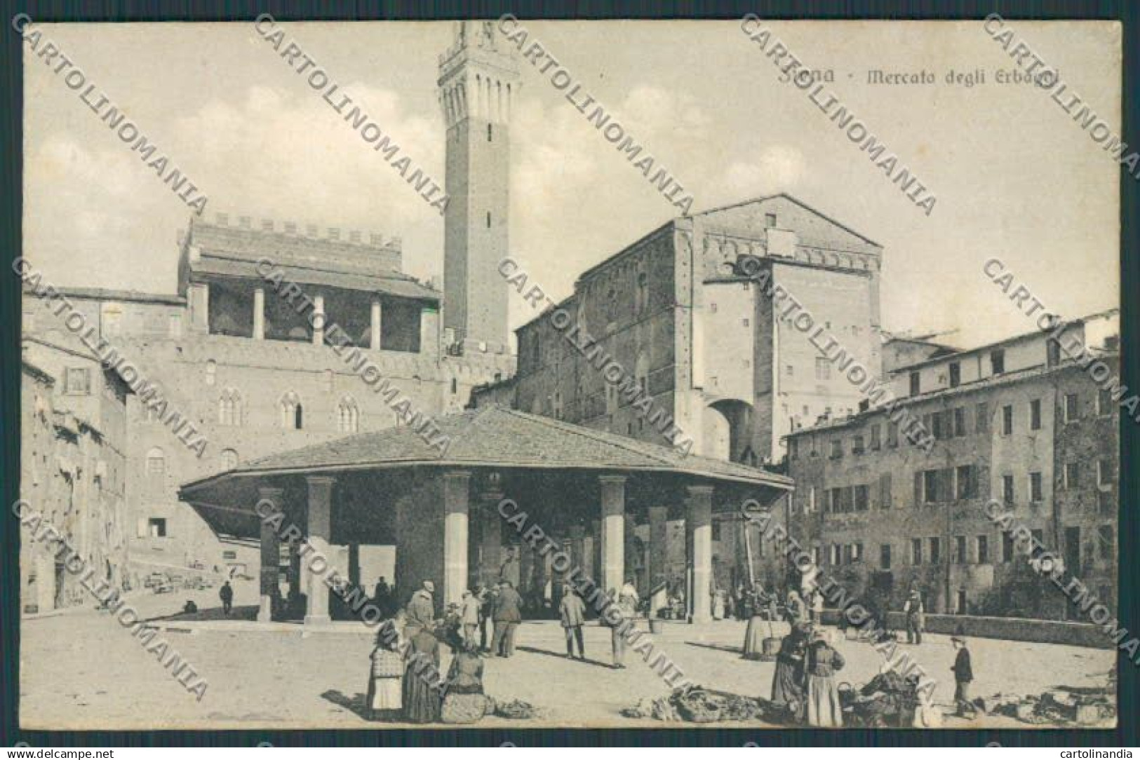 Siena cartolina RB0566