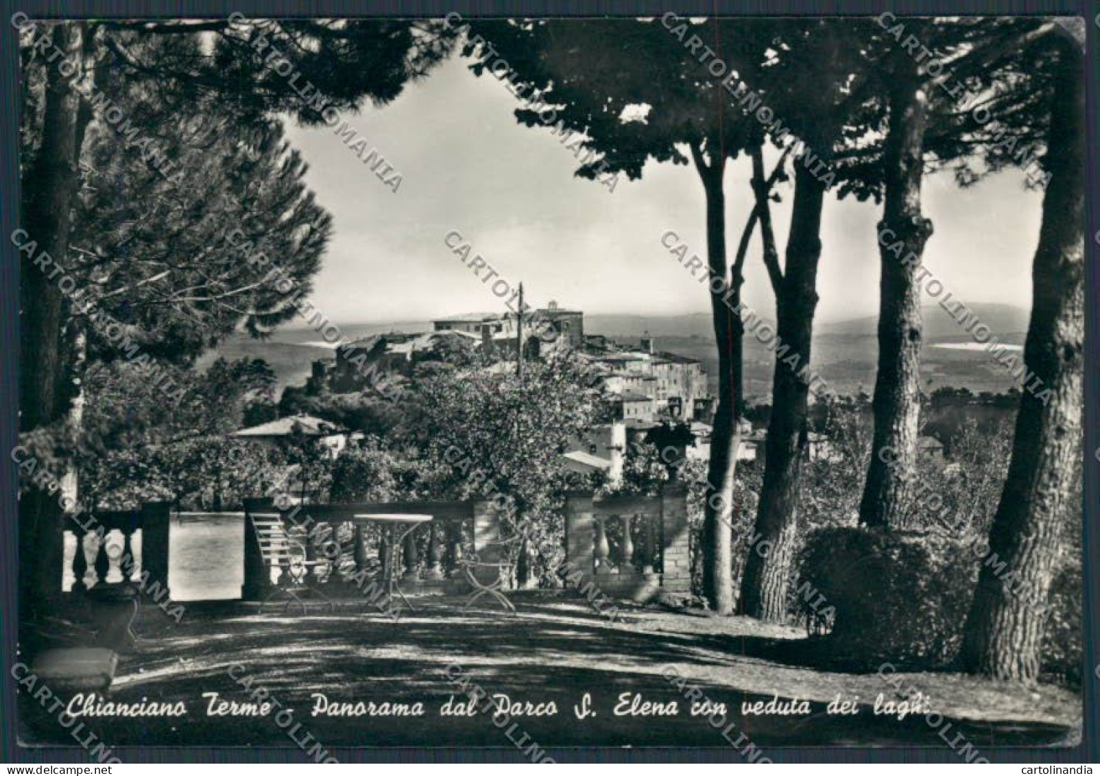 Siena Chianciano Parco Sant Elena foto FG cartolina B1633