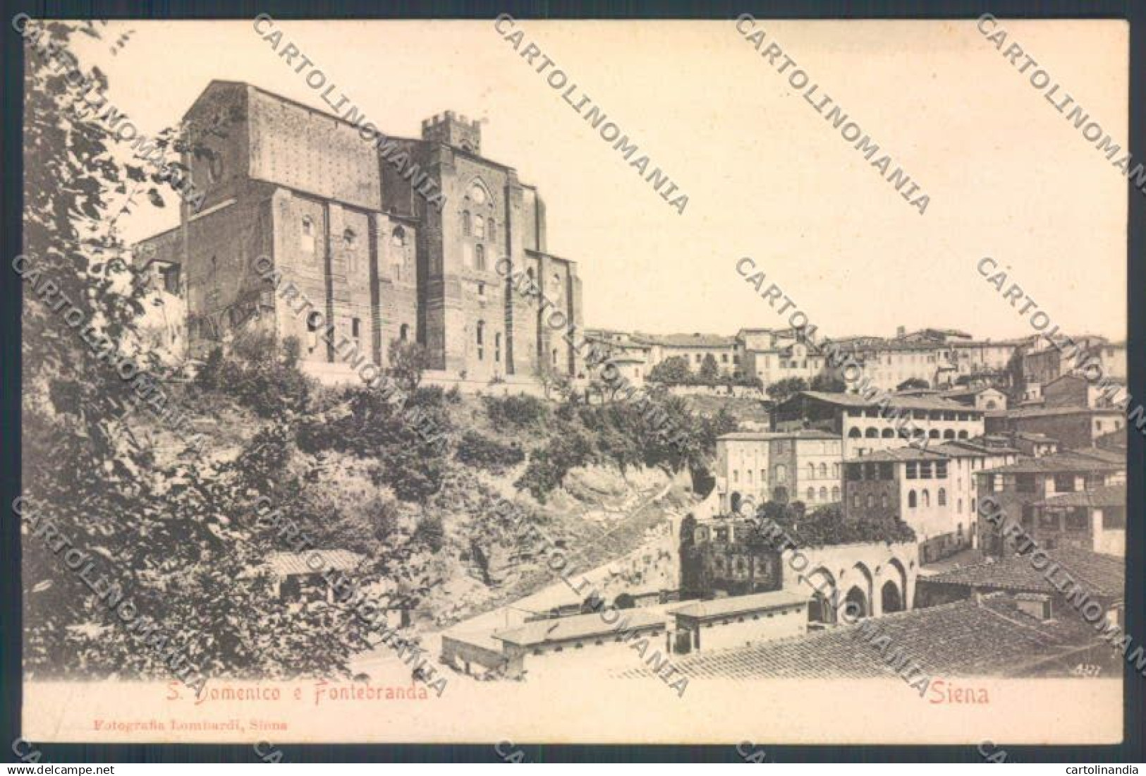 Siena città cartolina ZG1251
