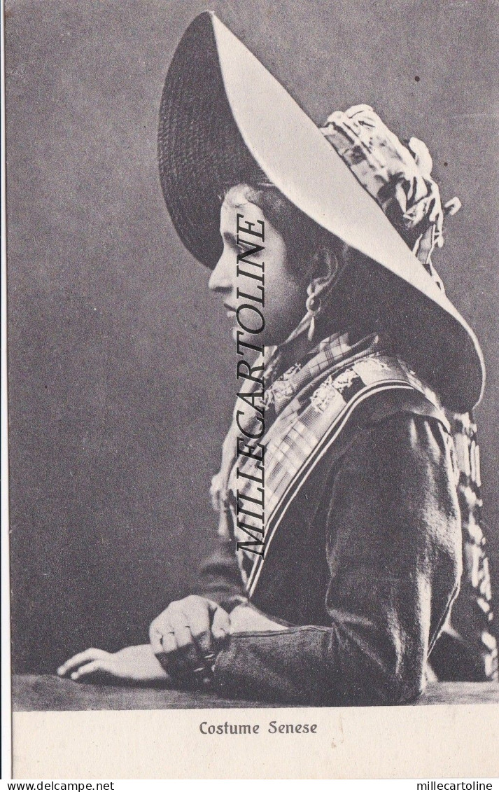 SIENA: Costume Senese - edit. Stefano Venturini - Siena 513