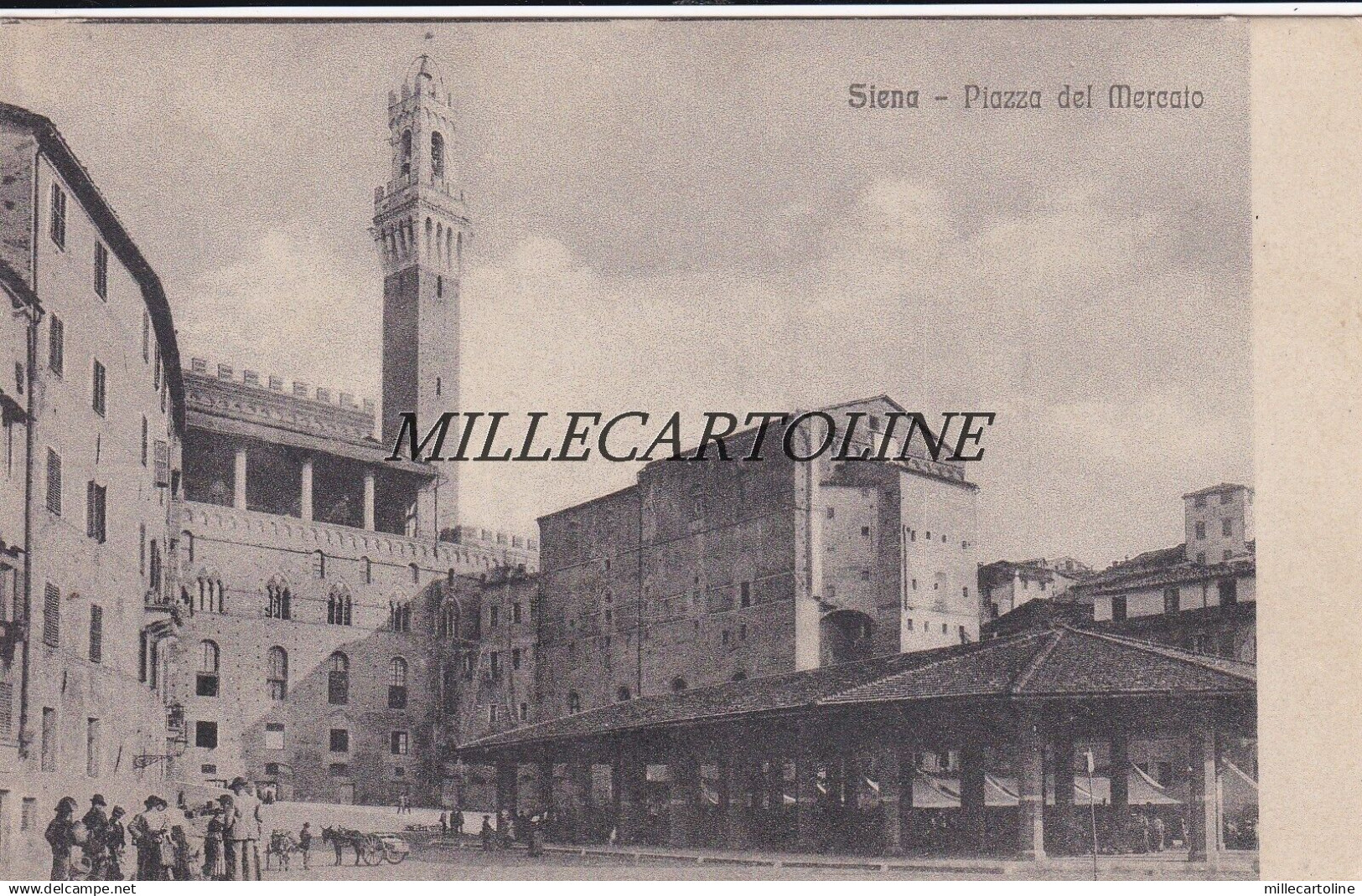 SIENA: Piazza del Mercato