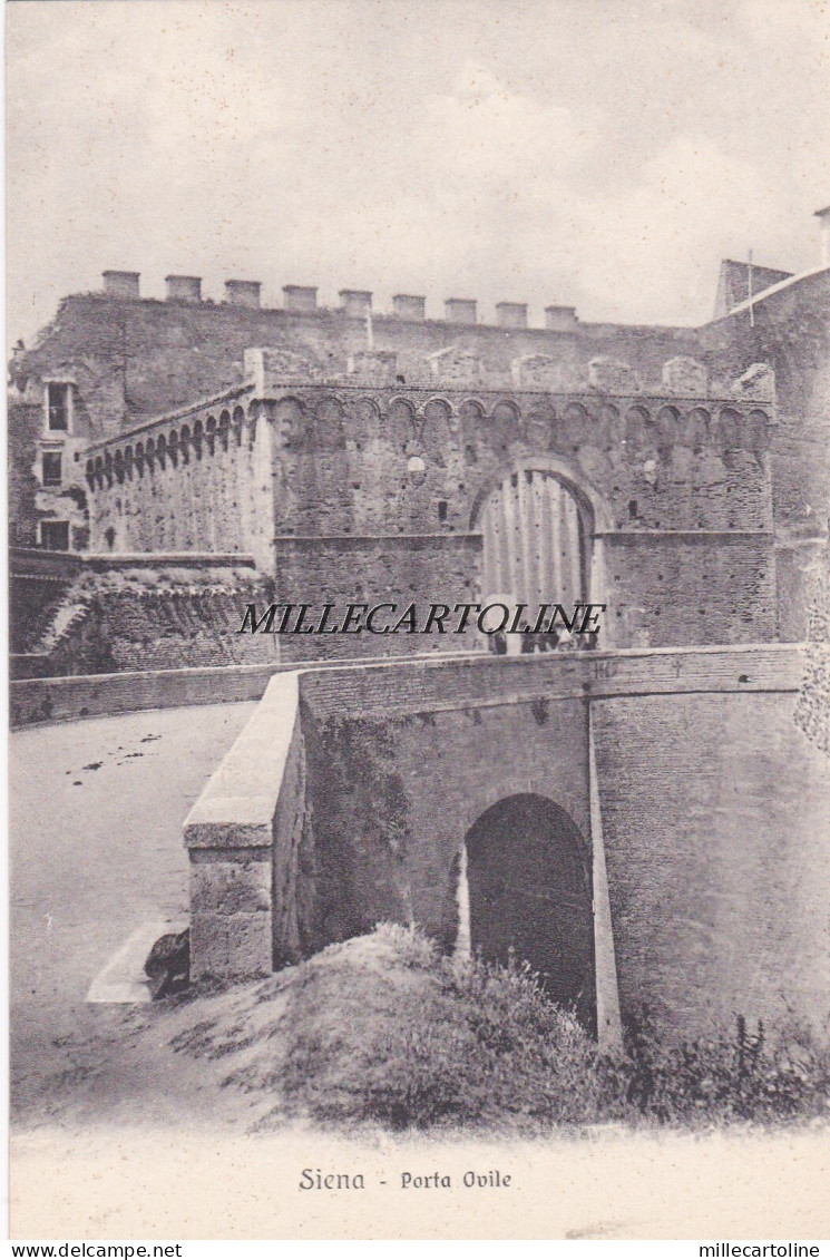 SIENA:  Porta Ovile