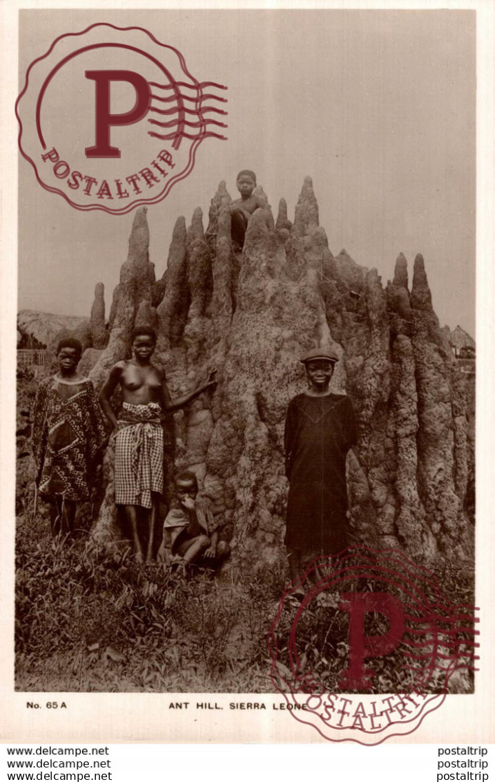 SIERRA LEONA // SIERRA LEONE. ANT HILL SIERRA LEONE. - REAL PHOTO