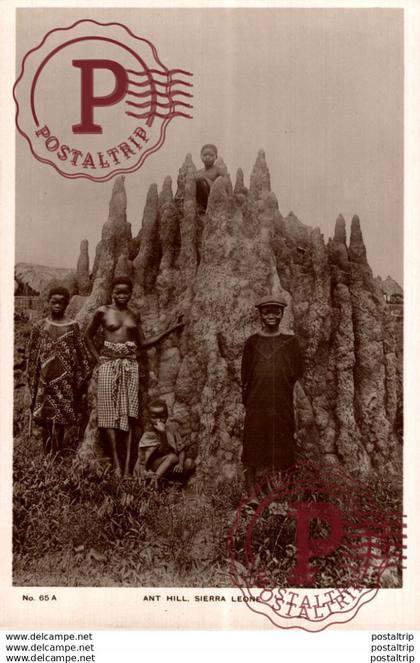 SIERRA LEONA // SIERRA LEONE. ANT HILL SIERRA LEONE. - REAL PHOTO
